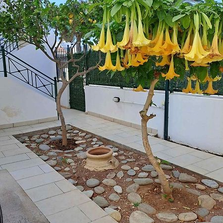 Dimitris Place Near Athens Airport Koropíon Eksteriør bilde