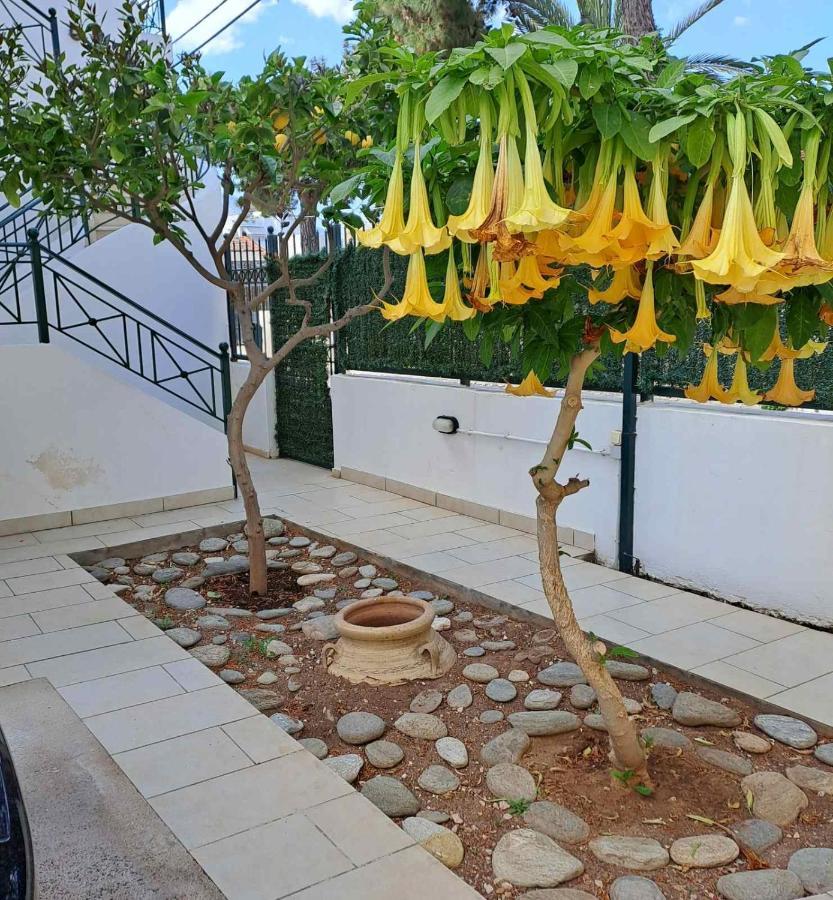 Dimitris Place Near Athens Airport Koropíon Eksteriør bilde