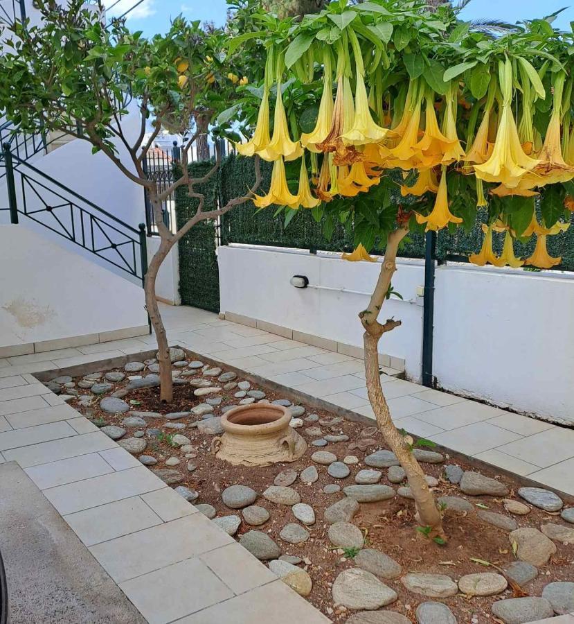 Dimitris Place Near Athens Airport Koropíon Eksteriør bilde