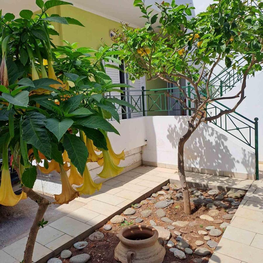 Dimitris Place Near Athens Airport Koropíon Eksteriør bilde